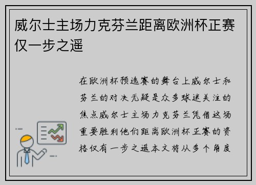 威尔士主场力克芬兰距离欧洲杯正赛仅一步之遥 威尔士主场力克芬兰距离欧洲杯正赛仅一步之遥