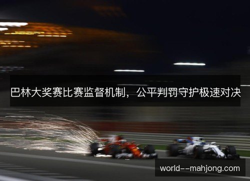 巴林大奖赛比赛监督机制，公平判罚守护极速对决